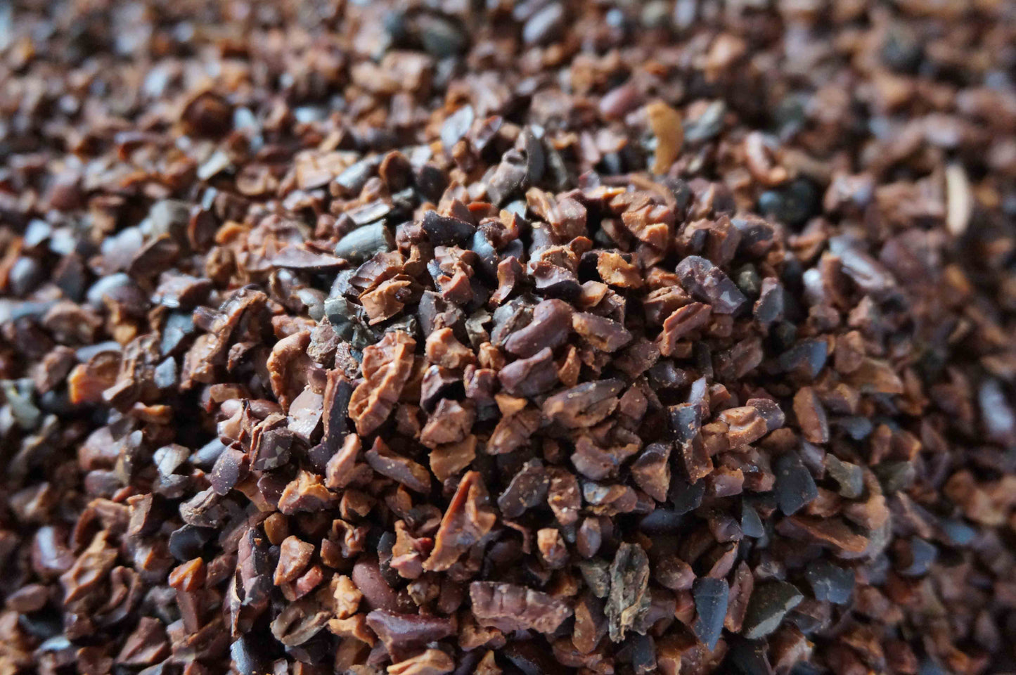 ORGANIC Nibs - Los Bejucos D.O. (250g)